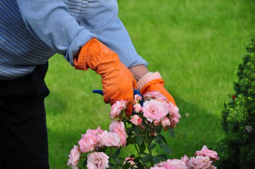 A person's hands, wearing bright orange gardening gloves, are gently pruning a cluster of pink roses in a well-maintained garden. The background features a lush, green lawn with neatly trimmed grass and a variety of shrubs and small flowering plants, indicating an outdoor landscaped yard. The garden layout includes a mix of flowering bushes and green foliage, with a clear division between the planted flower beds and the lawn area. The scene appears to be taken on a bright, sunny day, with natural light illuminating the vibrant colours of the flowers and foliage. The person is dressed in a light gray sweater, suggesting a mild weather setting suitable for gardening activities in Manor Park, London. This image exemplifies aspects of professional gardening and lawn care services, such as plant maintenance and pruning, commonly provided by companies like Lawn Mowing Manor Park, who focus on enhancing outdoor spaces with detailed shrub and flower bed care.